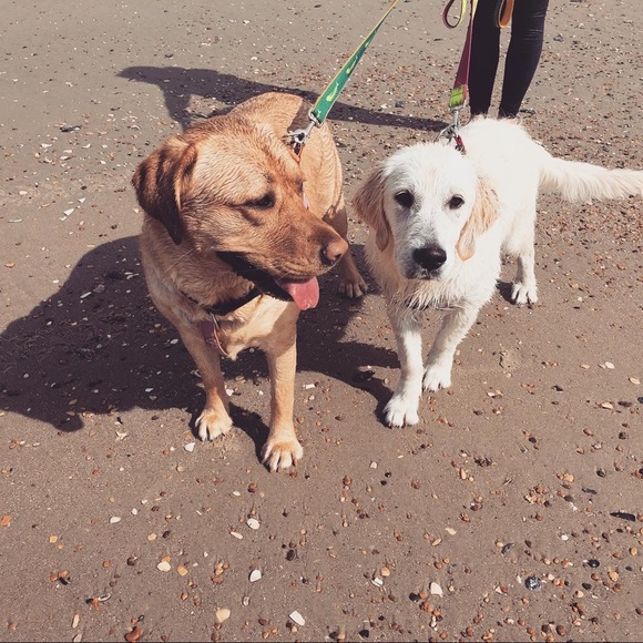 Meet your Posher, Christie - Picture 3 of 6